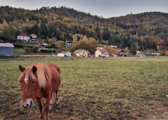 Le Vivaldi, Au Coeur Du Massif Vosgien Avec Terrain De Petanque