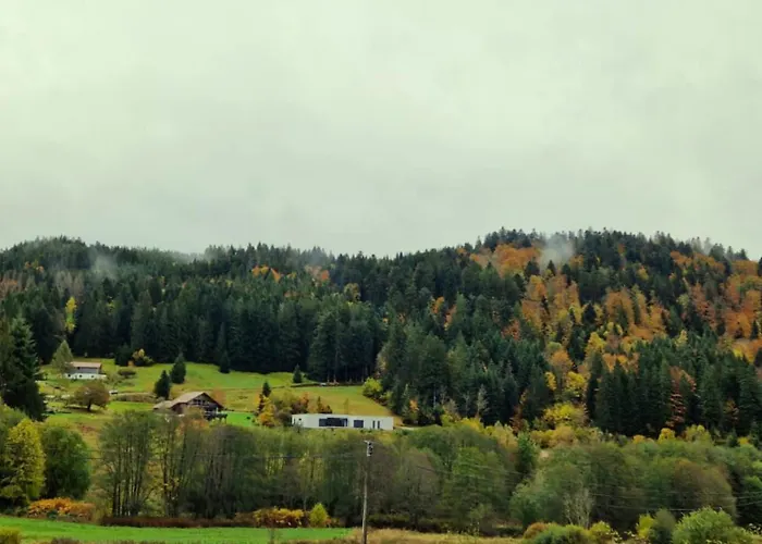 Le Vivaldi, Au Coeur Du Massif Vosgien Avec Terrain De Petanque