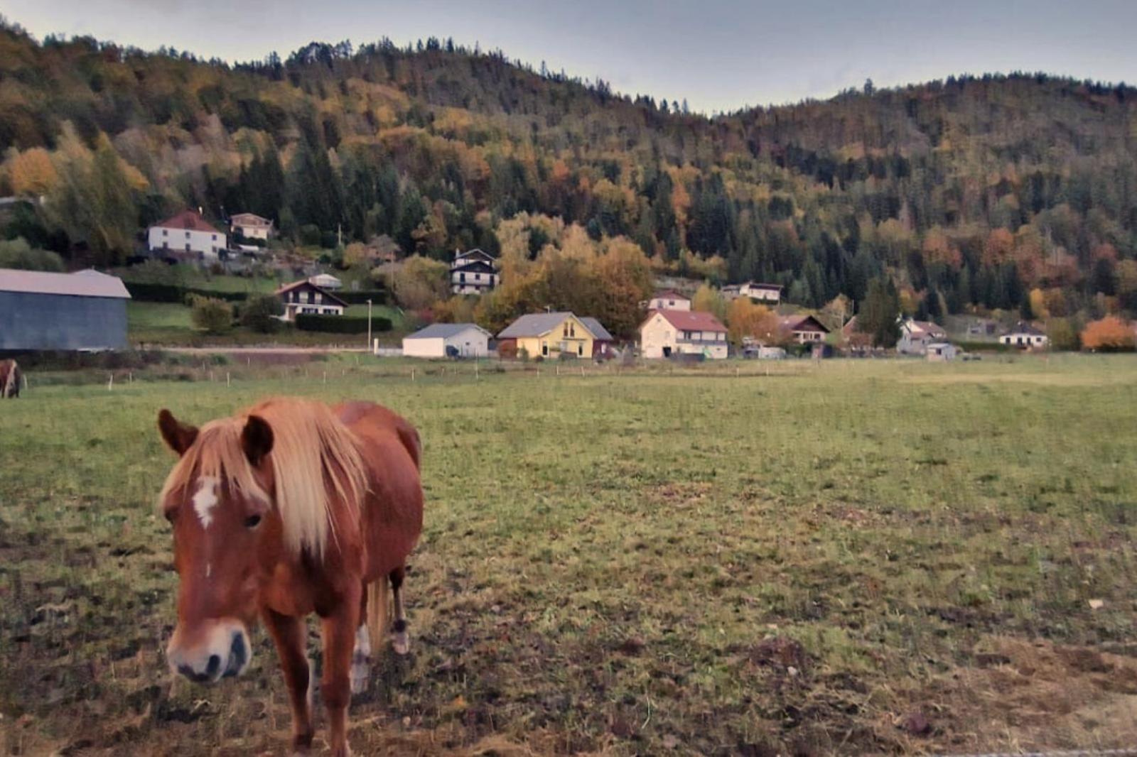 Le Vivaldi, Au Coeur Du Massif Vosgien Avec Terrain De Petanque Chalet *